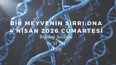 Bir Meyvenin Sırrı : DNA 9-12 Yaş