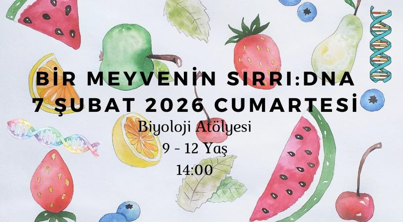 Bir Meyvenin Sırrı : DNA 9-12 Yaş