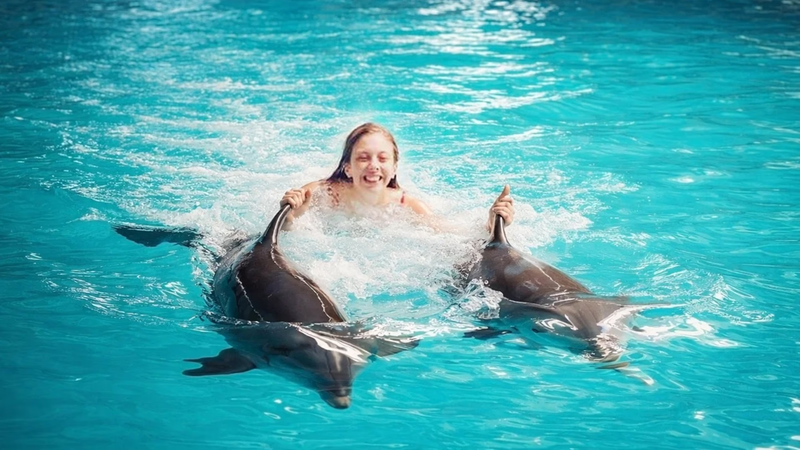 İstanbul Dolphinarium Yunuslarla Yüzme