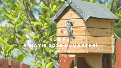 Kuş Evi 5-7 Yaş