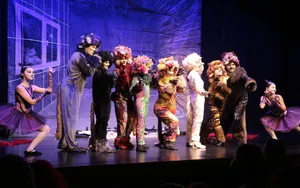 Miyav Operası "İlk Operam"