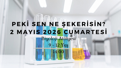 Peki Sen Ne Şekerisin? 9-12 Yaş