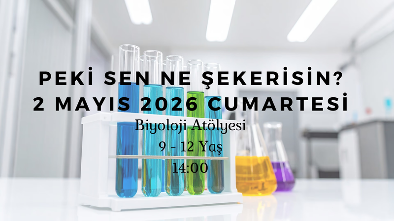 Peki Sen Ne Şekerisin? 9-12 Yaş