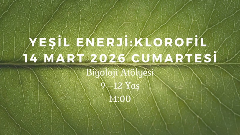 Yeşil Enerji - Klorofil 9-12 Yaş