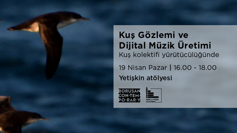 Yetişkin Atölyesi: Kuş Kolektifi ile Kuş Gözlemi ve Dijital Müzik Üretimi